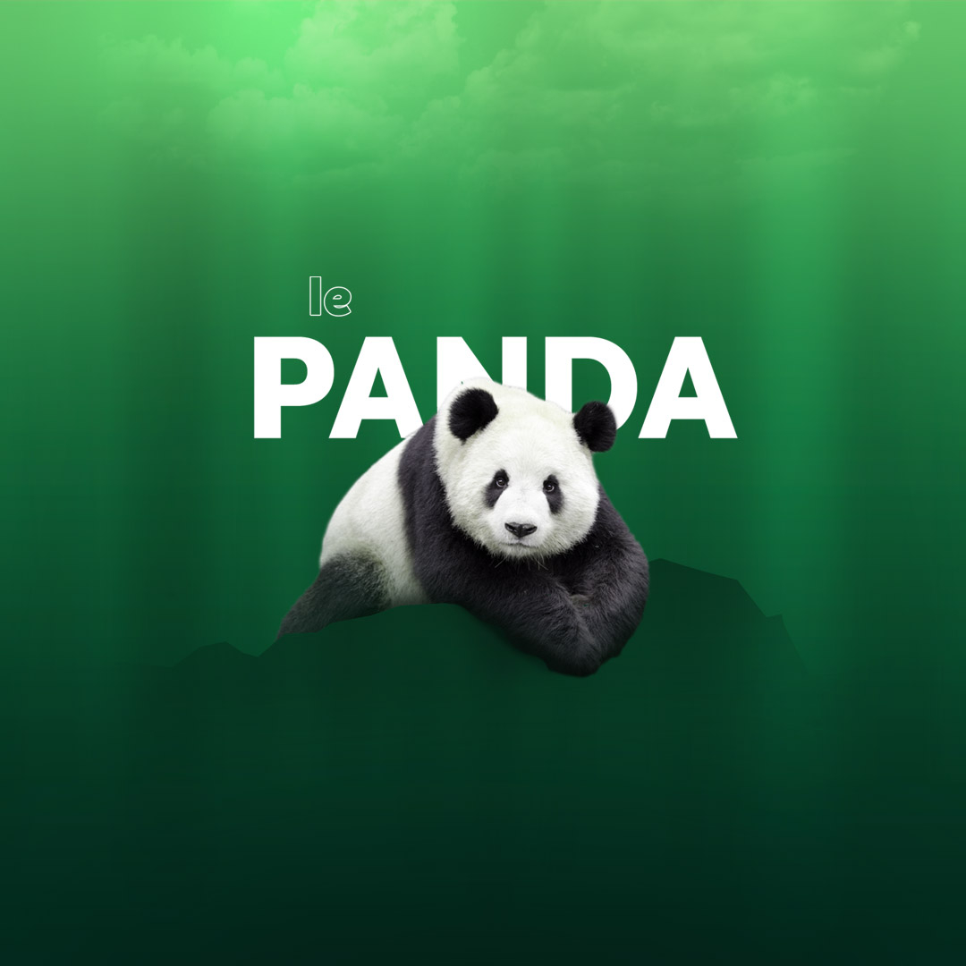 Est-ce que le panda est en danger