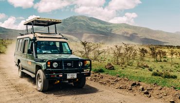 Safari voiture dans la savane