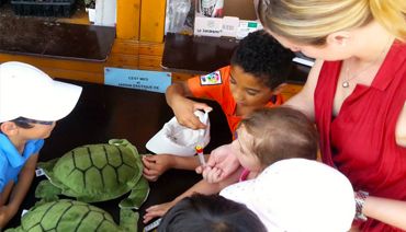 L'association CESTMed forme les enfants à la préservation de la tortue marine